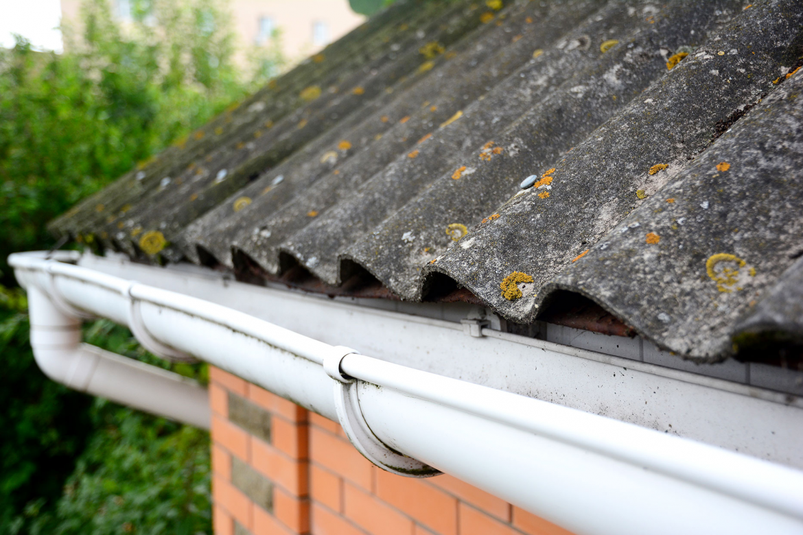 Preventative Measures You Can Take to Protect Your Roof