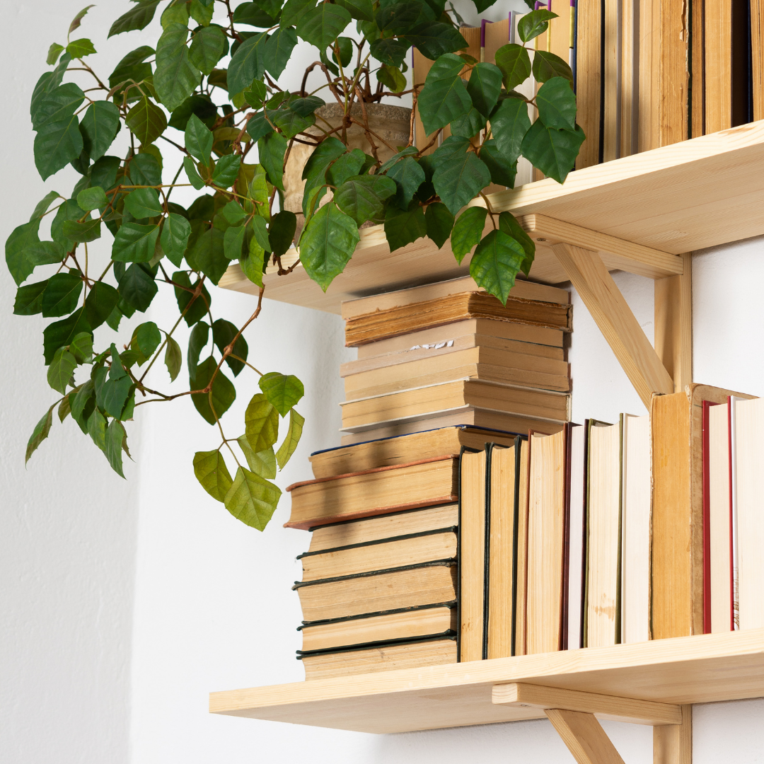 Building Your Own Bookshelves